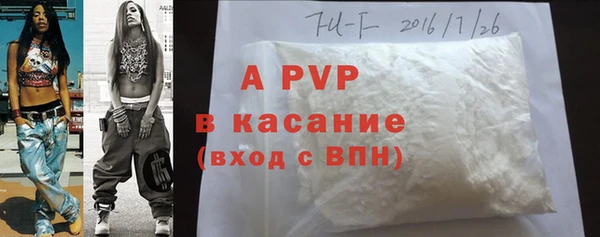 стаф Киреевск