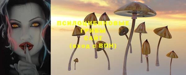 прущая мука Карпинск