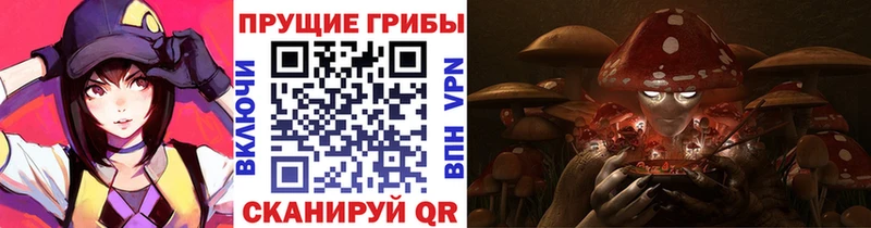 Псилоцибиновые грибы Magic Shrooms  наркошоп  Полтавская 